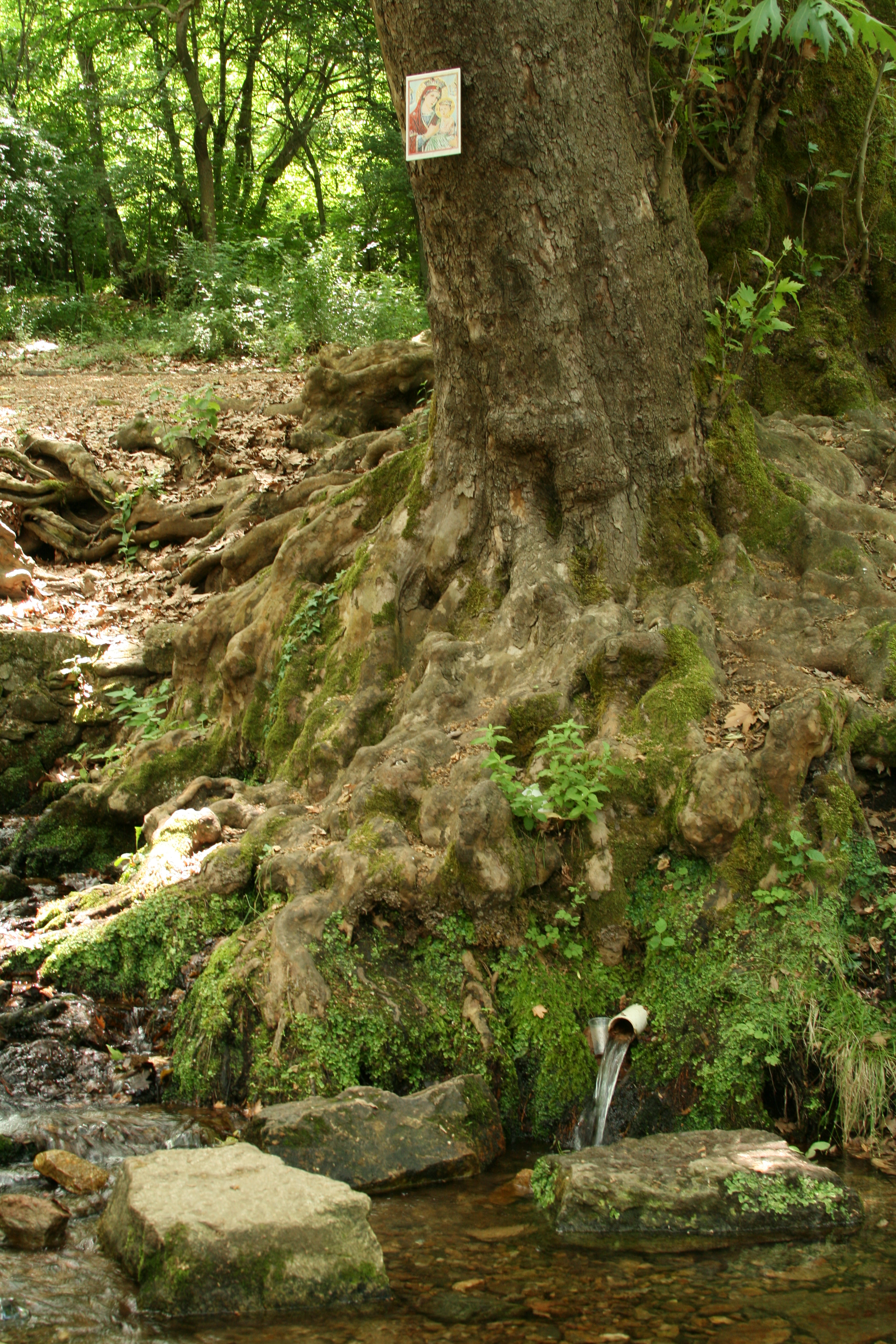 4930401016_e118a35324_b